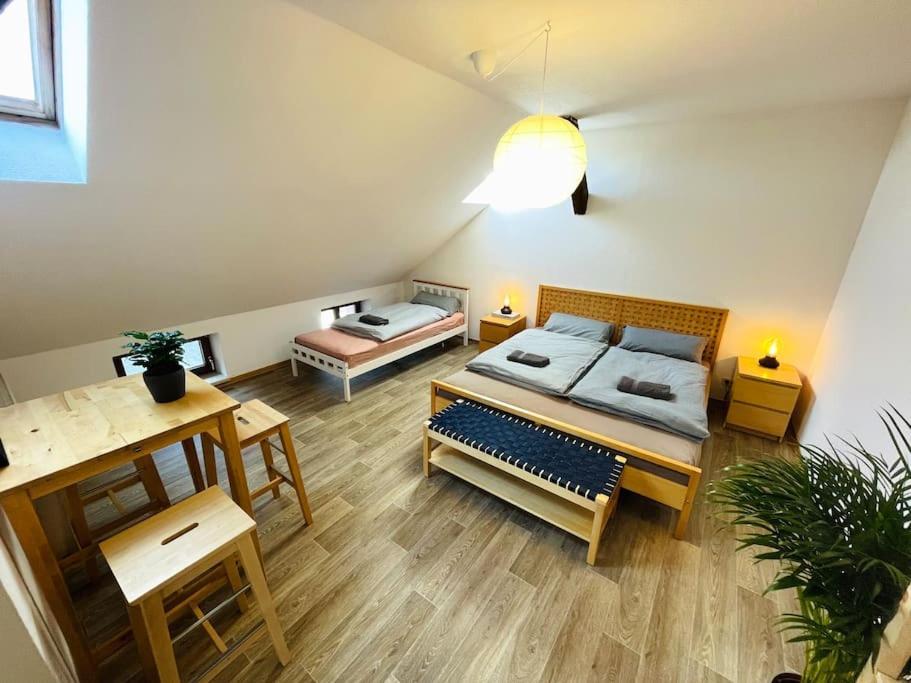 P6 - Familienwohnung Am Park Und Saale Halle  Exterior foto
