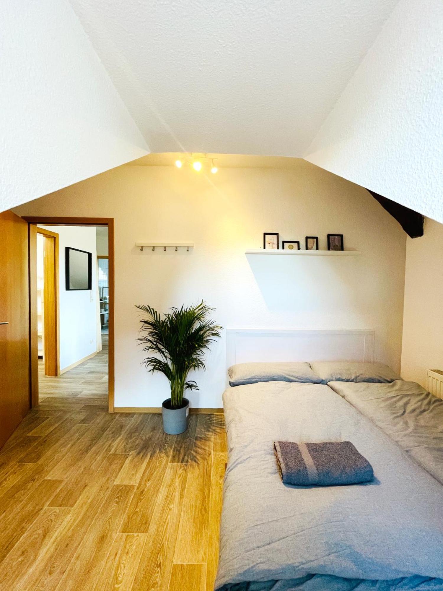 P6 - Familienwohnung Am Park Und Saale Halle  Exterior foto