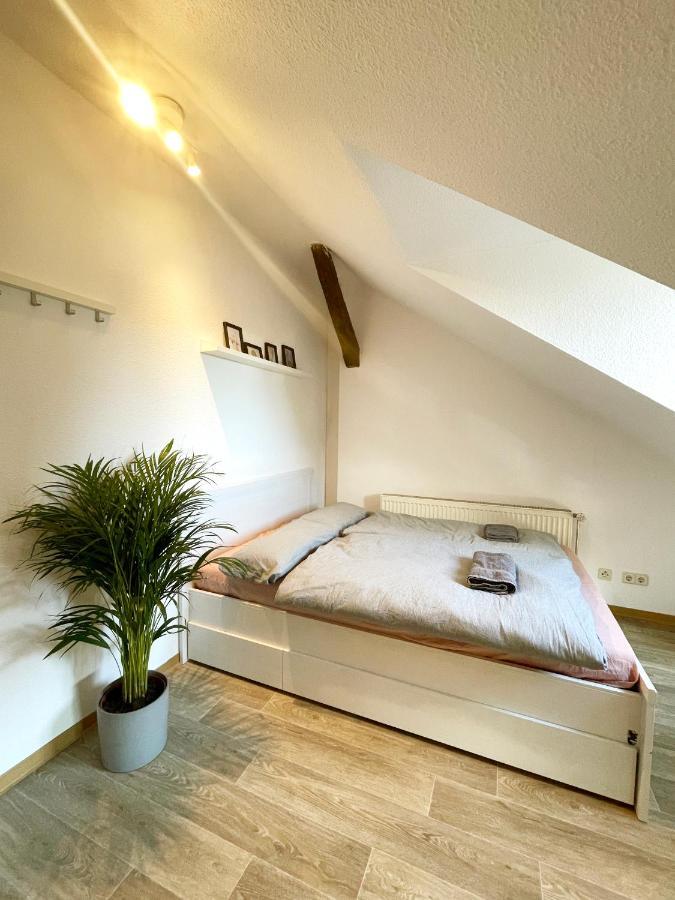P6 - Familienwohnung Am Park Und Saale Halle  Exterior foto
